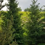 Lily Garden Nocleg ze śniadaniem 3*