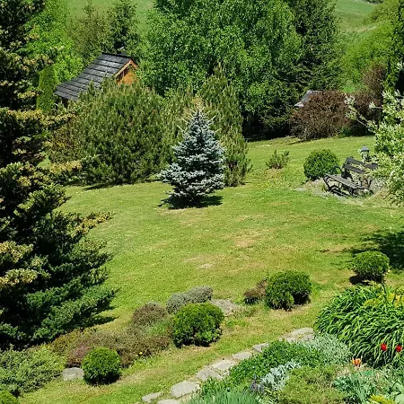 Lily Garden *