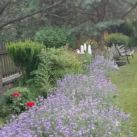 Couette-café Lily Garden Mizerna