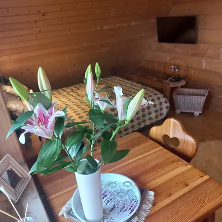 Lily Garden