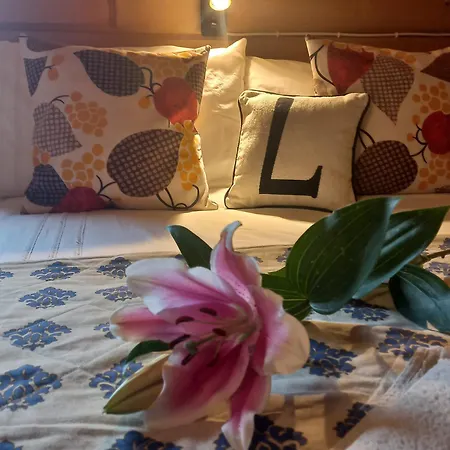 Lily Garden Couette-café Mizerna