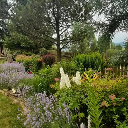 Lily Garden 3*
