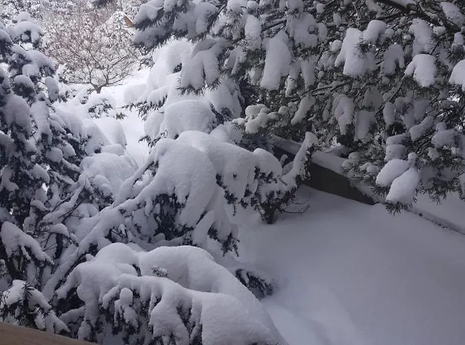 Lily Garden Bed & Breakfast