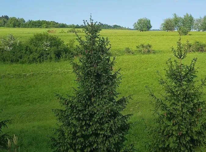 Bed & Breakfast Lily Garden 3*