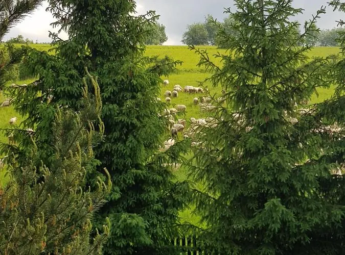 Lily Garden Bed & Breakfast 3*