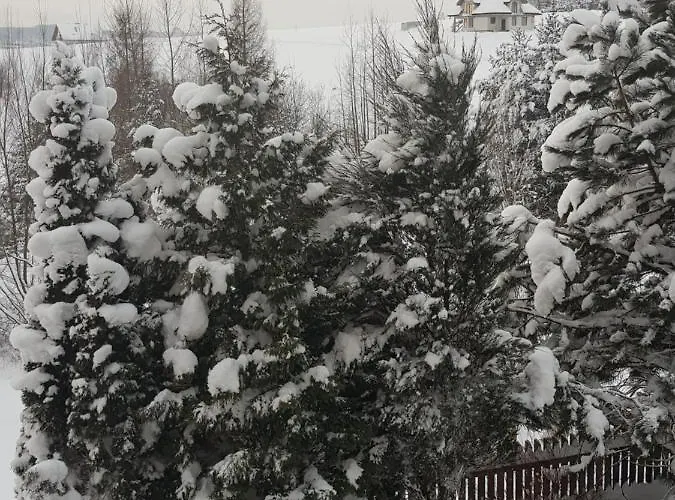 Lily Garden Bed & Breakfast