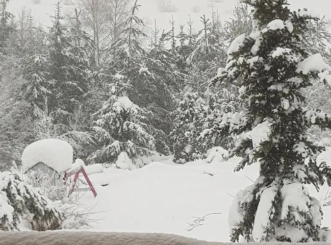 Lily Garden Bed & Breakfast Mizerna