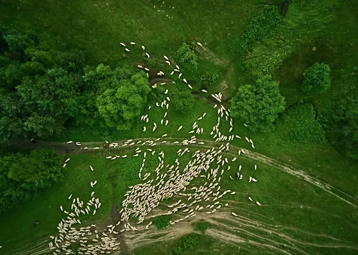 Lily Garden Bed & Breakfast 3*