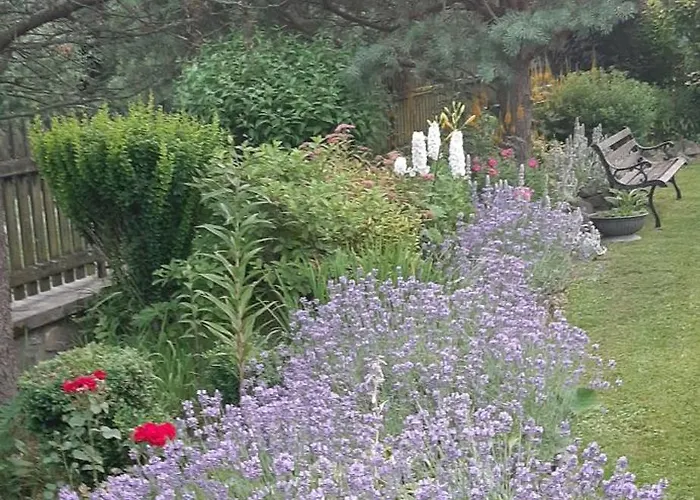 Bed & Breakfast Lily Garden Mizerna