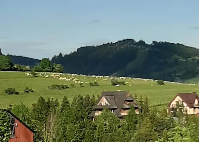 Bed & Breakfast Lily Garden 3*