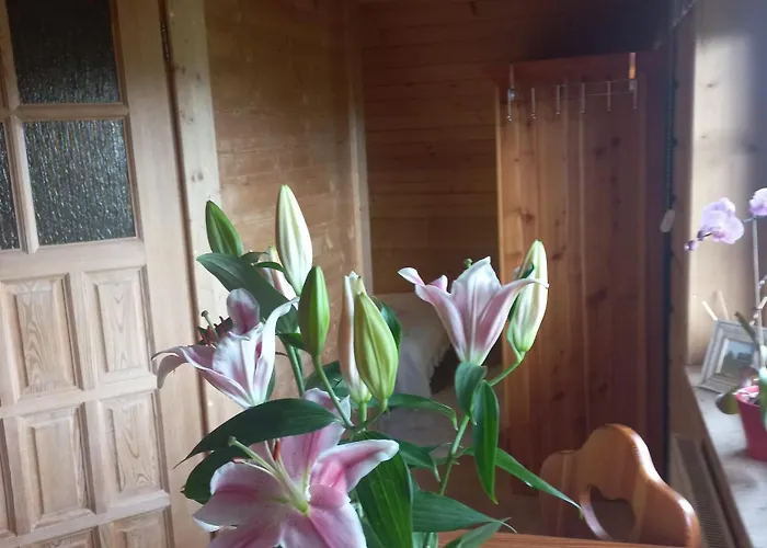 Bed & Breakfast Lily Garden