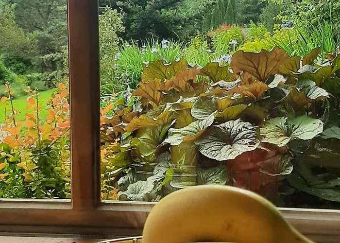 Lily Garden Bed & Breakfast 3*