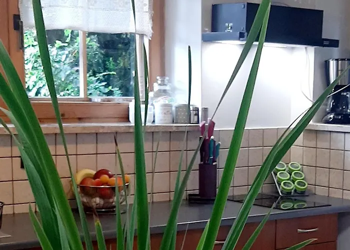 Lily Garden Bed & Breakfast